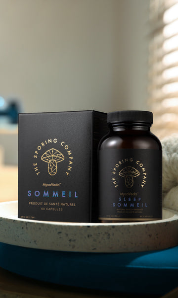 Understanding Sleep and Its Importance: The Science Behind Quality Rest