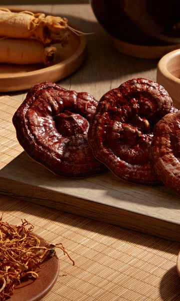 Unraveling the Mechanisms Behind Reishi's Sleep-Enhancing Effects: Insights from a Study on Ganoderma lucidum